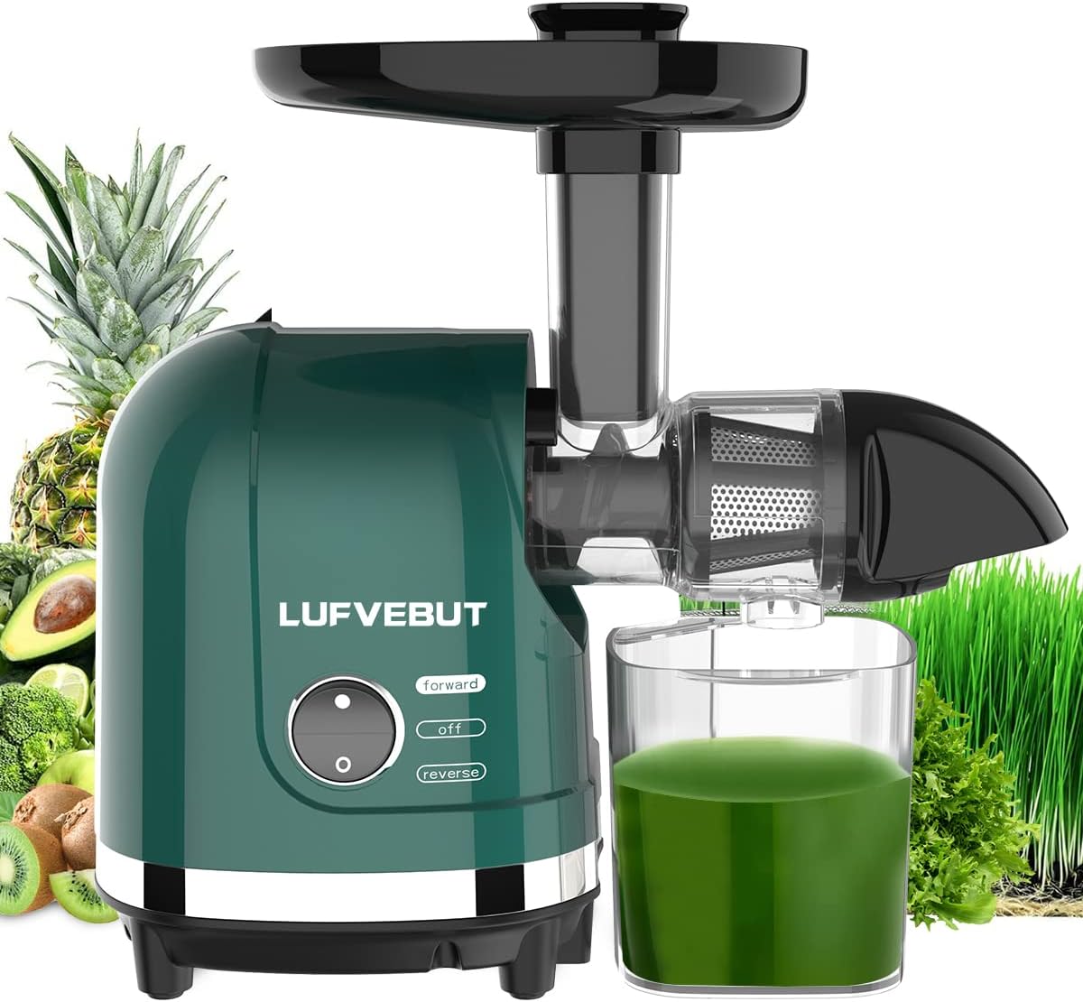 Best Juicer To Make Nutritious Drinks at Home