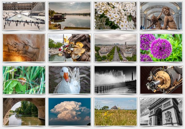 The Protography Vault Review- Get unlimited access to over 6,000 professional photographs with unrestricted rights.