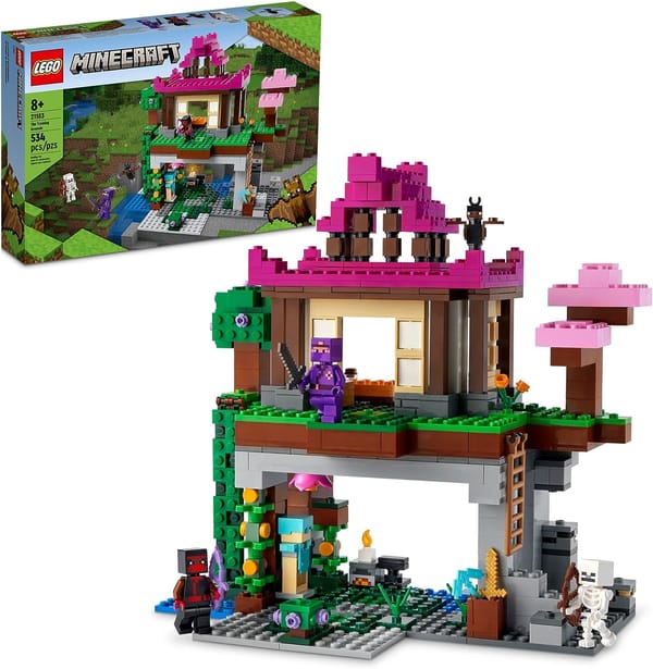 LEGO Minecraft Training Grounds Toy Review